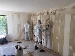 Why You Should Choose Our Mold Remediation Services in Wink, TX